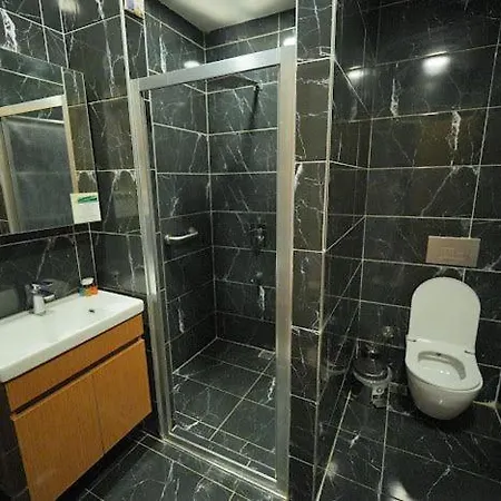 Ciplus 3*
